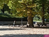 Koniec kalendarzowego lata. Czy we wrocławskich parkach widać pierwsze oznaki jesieni? [FOTO]