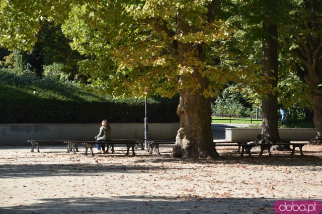 Koniec kalendarzowego lata. Czy we wrocławskich parkach widać pierwsze oznaki jesieni? [FOTO]