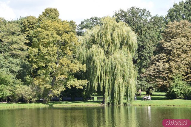 Koniec kalendarzowego lata. Czy we wrocławskich parkach widać pierwsze oznaki jesieni? [FOTO]