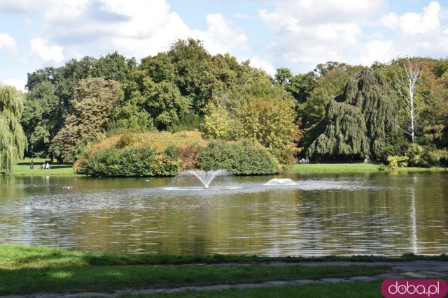 Koniec kalendarzowego lata. Czy we wrocławskich parkach widać pierwsze oznaki jesieni? [FOTO]
