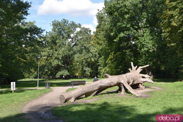 Koniec kalendarzowego lata. Czy we wrocławskich parkach widać pierwsze oznaki jesieni? [FOTO]