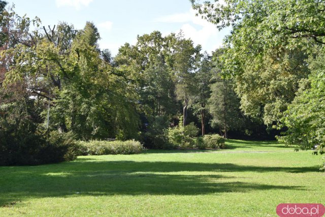 Koniec kalendarzowego lata. Czy we wrocławskich parkach widać pierwsze oznaki jesieni? [FOTO]