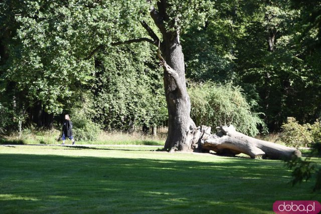 Koniec kalendarzowego lata. Czy we wrocławskich parkach widać pierwsze oznaki jesieni? [FOTO]