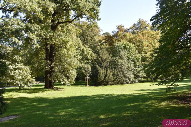 Koniec kalendarzowego lata. Czy we wrocławskich parkach widać pierwsze oznaki jesieni? [FOTO]