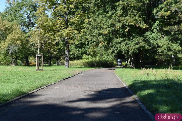 Koniec kalendarzowego lata. Czy we wrocławskich parkach widać pierwsze oznaki jesieni? [FOTO]