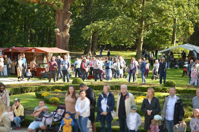 VII Święto sera i wina za nami [Foto]