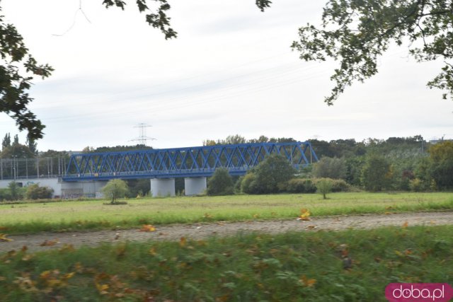 Wrocławska Topka #2: 10 najdłuższych mostów Wrocławia. Dlaczego Wrocław nazywany jest Wenecją Północy?