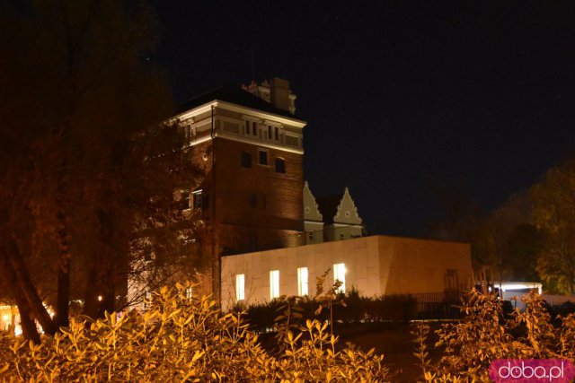 Powraca park iluminacji w Zamku Topacz. Tegoroczna tematyka to Tajemnicze Ogrody [Foto, Wideo, Cennik, Jak dojechać]