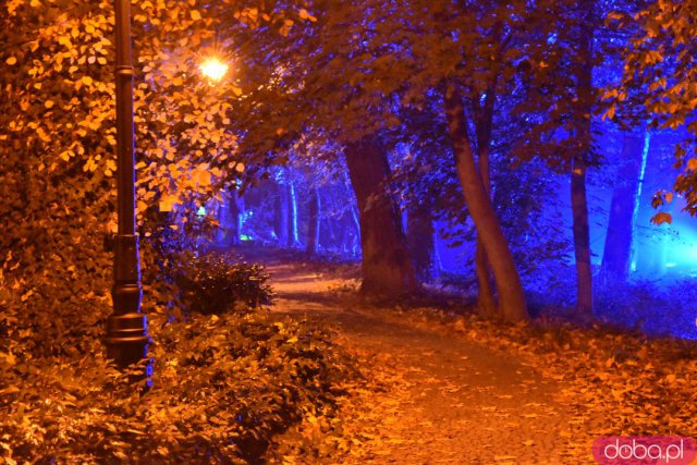 Powraca park iluminacji w Zamku Topacz. Tegoroczna tematyka to Tajemnicze Ogrody [Foto, Wideo, Cennik, Jak dojechać]