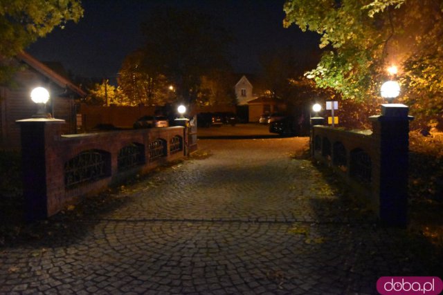 Powraca park iluminacji w Zamku Topacz. Tegoroczna tematyka to Tajemnicze Ogrody [Foto, Wideo, Cennik, Jak dojechać]