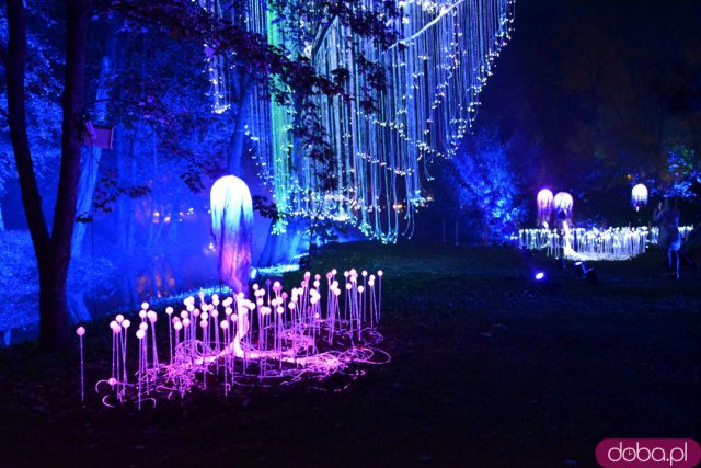 Powraca park iluminacji w Zamku Topacz. Tegoroczna tematyka to Tajemnicze Ogrody [Foto, Wideo, Cennik, Jak dojechać]