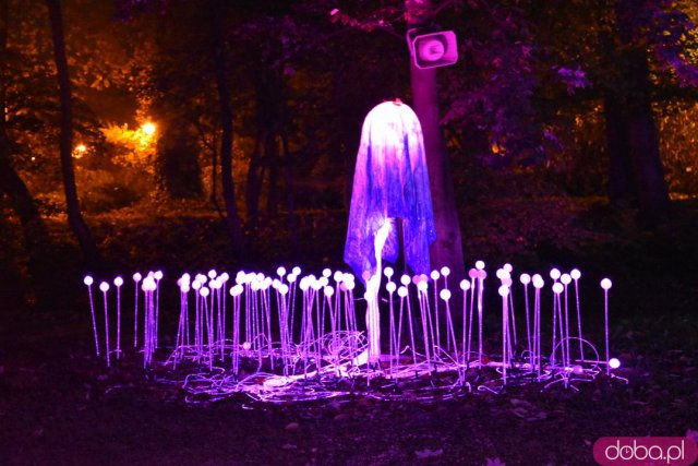 Powraca park iluminacji w Zamku Topacz. Tegoroczna tematyka to Tajemnicze Ogrody [Foto, Wideo, Cennik, Jak dojechać]