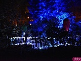 Powraca park iluminacji w Zamku Topacz. Tegoroczna tematyka to Tajemnicze Ogrody [Foto, Wideo, Cennik, Jak dojechać]