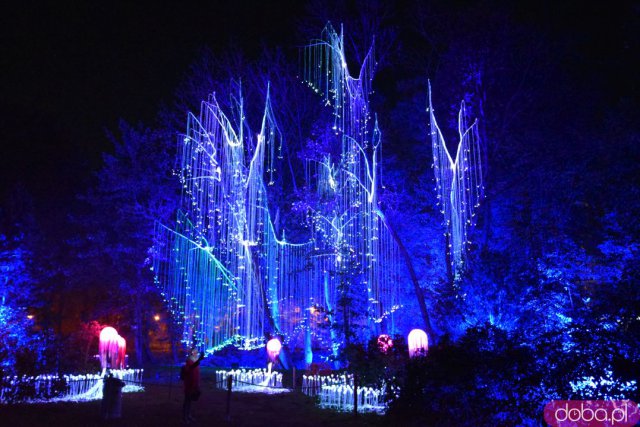 Powraca park iluminacji w Zamku Topacz. Tegoroczna tematyka to Tajemnicze Ogrody [Foto, Wideo, Cennik, Jak dojechać]