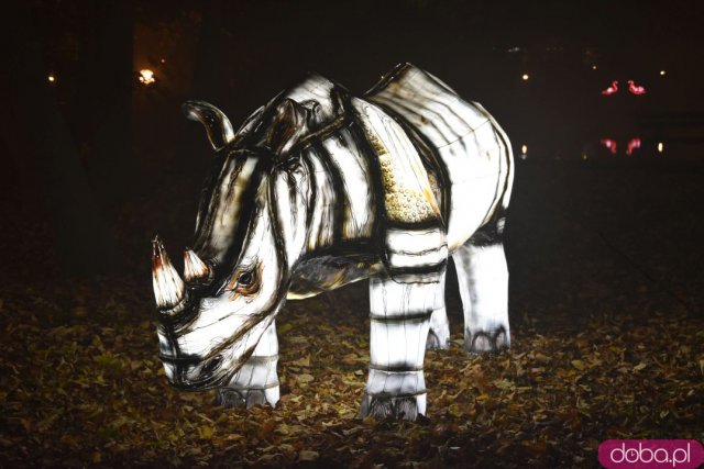 Powraca park iluminacji w Zamku Topacz. Tegoroczna tematyka to Tajemnicze Ogrody [Foto, Wideo, Cennik, Jak dojechać]