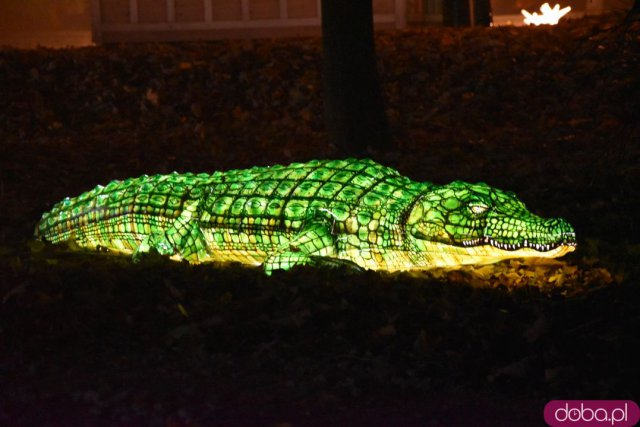 Powraca park iluminacji w Zamku Topacz. Tegoroczna tematyka to Tajemnicze Ogrody [Foto, Wideo, Cennik, Jak dojechać]