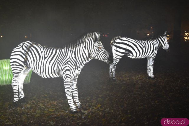 Powraca park iluminacji w Zamku Topacz. Tegoroczna tematyka to Tajemnicze Ogrody [Foto, Wideo, Cennik, Jak dojechać]