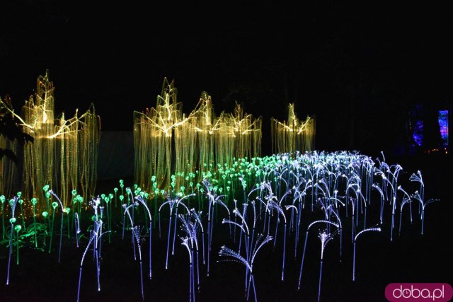 Powraca park iluminacji w Zamku Topacz. Tegoroczna tematyka to Tajemnicze Ogrody [Foto, Wideo, Cennik, Jak dojechać]