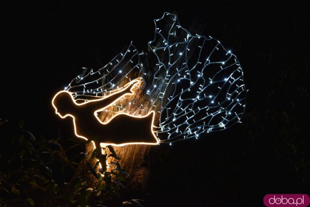 Powraca park iluminacji w Zamku Topacz. Tegoroczna tematyka to Tajemnicze Ogrody [Foto, Wideo, Cennik, Jak dojechać]