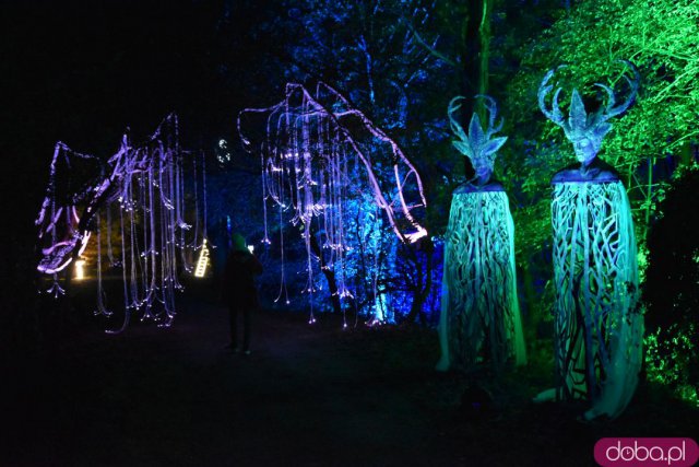 Powraca park iluminacji w Zamku Topacz. Tegoroczna tematyka to Tajemnicze Ogrody [Foto, Wideo, Cennik, Jak dojechać]