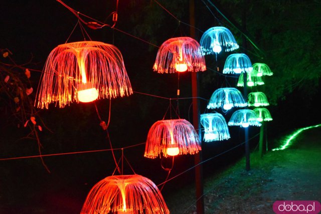 Powraca park iluminacji w Zamku Topacz. Tegoroczna tematyka to Tajemnicze Ogrody [Foto, Wideo, Cennik, Jak dojechać]