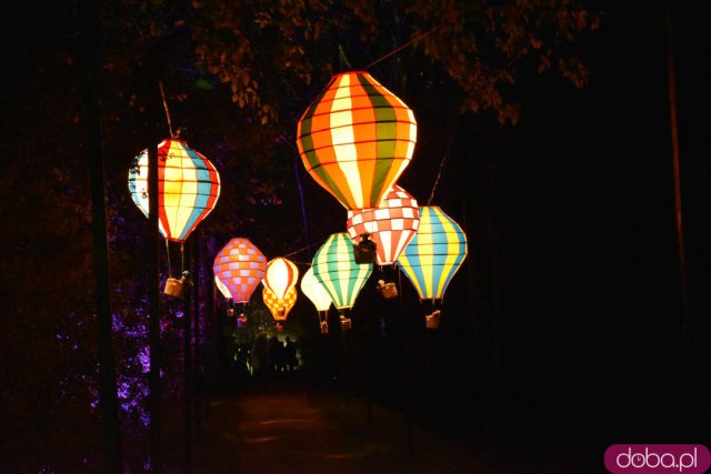 Powraca park iluminacji w Zamku Topacz. Tegoroczna tematyka to Tajemnicze Ogrody [Foto, Wideo, Cennik, Jak dojechać]