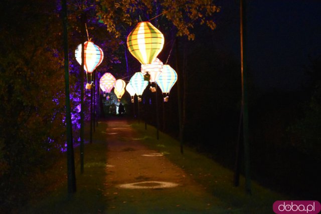 Powraca park iluminacji w Zamku Topacz. Tegoroczna tematyka to Tajemnicze Ogrody [Foto, Wideo, Cennik, Jak dojechać]