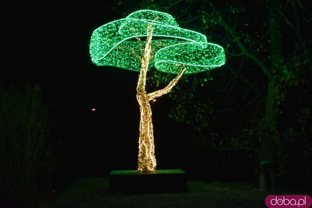 Powraca park iluminacji w Zamku Topacz. Tegoroczna tematyka to Tajemnicze Ogrody [Foto, Wideo, Cennik, Jak dojechać]