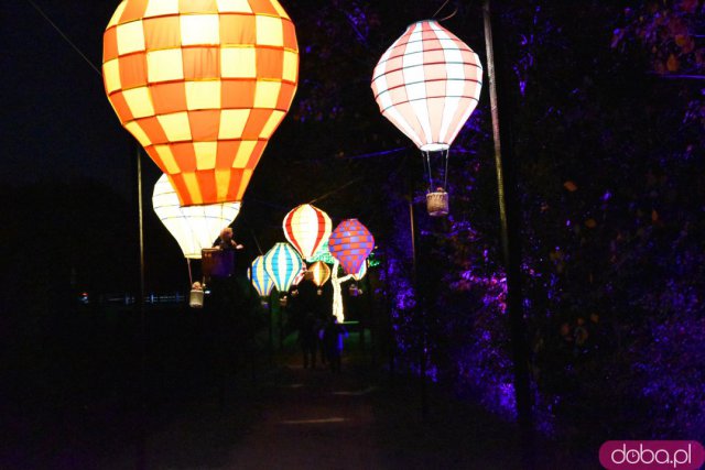 Powraca park iluminacji w Zamku Topacz. Tegoroczna tematyka to Tajemnicze Ogrody [Foto, Wideo, Cennik, Jak dojechać]