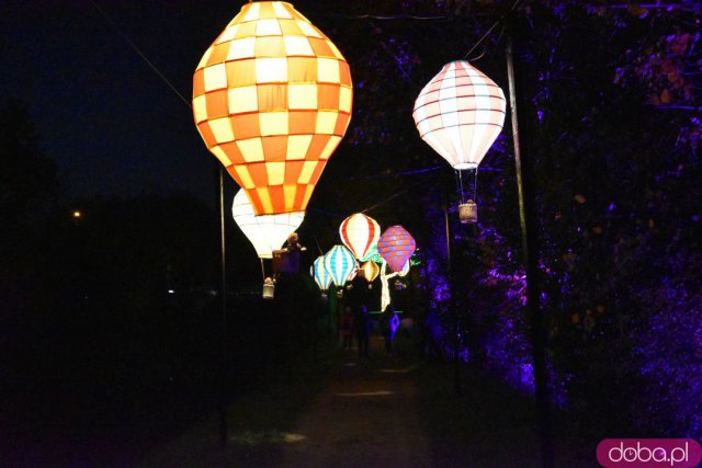 Powraca park iluminacji w Zamku Topacz. Tegoroczna tematyka to Tajemnicze Ogrody [Foto, Wideo, Cennik, Jak dojechać]
