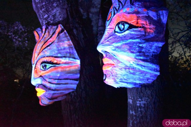Powraca park iluminacji w Zamku Topacz. Tegoroczna tematyka to Tajemnicze Ogrody [Foto, Wideo, Cennik, Jak dojechać]