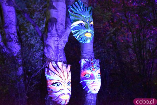 Powraca park iluminacji w Zamku Topacz. Tegoroczna tematyka to Tajemnicze Ogrody [Foto, Wideo, Cennik, Jak dojechać]
