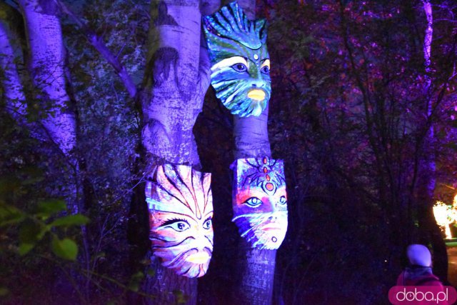 Powraca park iluminacji w Zamku Topacz. Tegoroczna tematyka to Tajemnicze Ogrody [Foto, Wideo, Cennik, Jak dojechać]