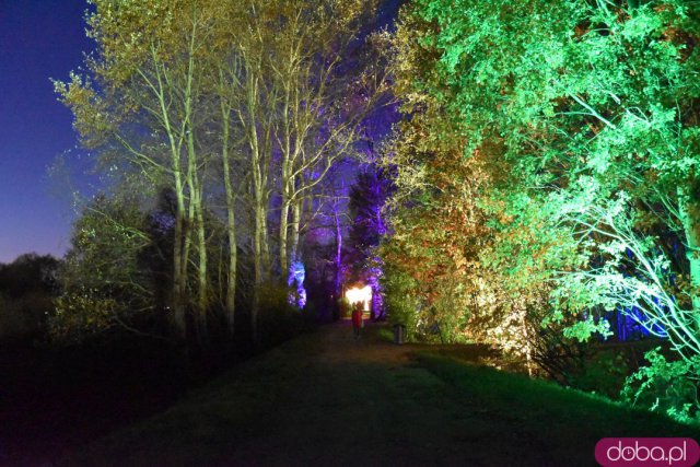 Powraca park iluminacji w Zamku Topacz. Tegoroczna tematyka to Tajemnicze Ogrody [Foto, Wideo, Cennik, Jak dojechać]