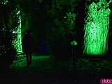 Powraca park iluminacji w Zamku Topacz. Tegoroczna tematyka to Tajemnicze Ogrody [Foto, Wideo, Cennik, Jak dojechać]