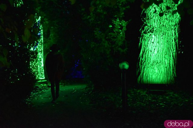 Powraca park iluminacji w Zamku Topacz. Tegoroczna tematyka to Tajemnicze Ogrody [Foto, Wideo, Cennik, Jak dojechać]