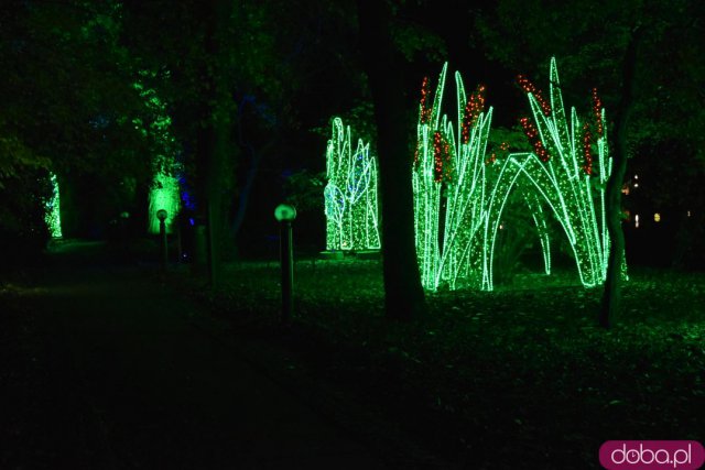 Powraca park iluminacji w Zamku Topacz. Tegoroczna tematyka to Tajemnicze Ogrody [Foto, Wideo, Cennik, Jak dojechać]