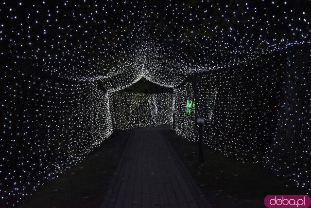 Powraca park iluminacji w Zamku Topacz. Tegoroczna tematyka to Tajemnicze Ogrody [Foto, Wideo, Cennik, Jak dojechać]