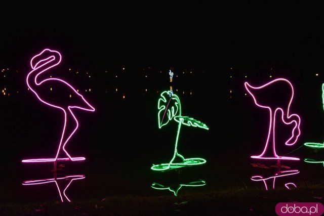 Powraca park iluminacji w Zamku Topacz. Tegoroczna tematyka to Tajemnicze Ogrody [Foto, Wideo, Cennik, Jak dojechać]