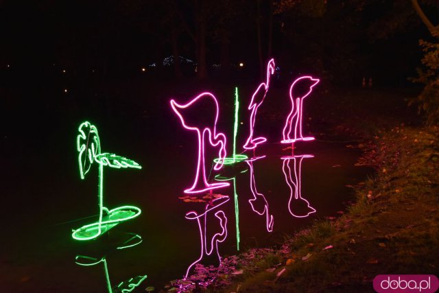 Powraca park iluminacji w Zamku Topacz. Tegoroczna tematyka to Tajemnicze Ogrody [Foto, Wideo, Cennik, Jak dojechać]