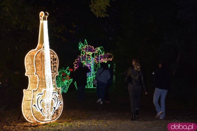 Powraca park iluminacji w Zamku Topacz. Tegoroczna tematyka to Tajemnicze Ogrody [Foto, Wideo, Cennik, Jak dojechać]