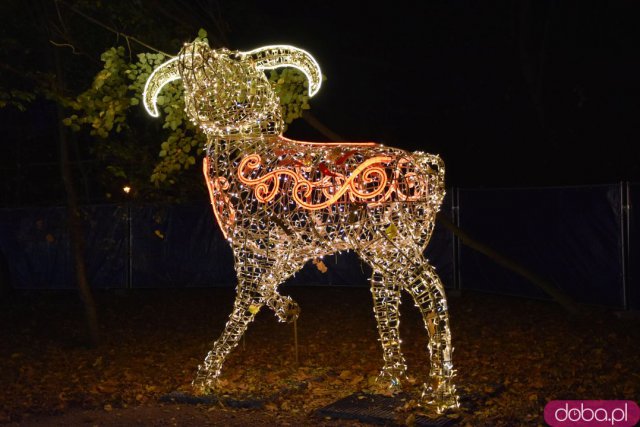 Powraca park iluminacji w Zamku Topacz. Tegoroczna tematyka to Tajemnicze Ogrody [Foto, Wideo, Cennik, Jak dojechać]