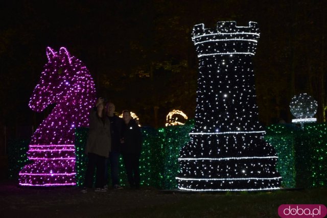 Powraca park iluminacji w Zamku Topacz. Tegoroczna tematyka to Tajemnicze Ogrody [Foto, Wideo, Cennik, Jak dojechać]