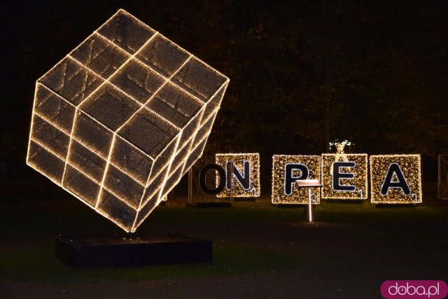 Powraca park iluminacji w Zamku Topacz. Tegoroczna tematyka to Tajemnicze Ogrody [Foto, Wideo, Cennik, Jak dojechać]