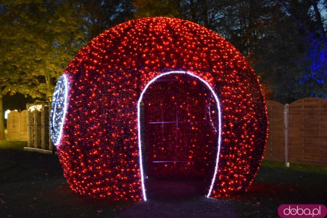 Powraca park iluminacji w Zamku Topacz. Tegoroczna tematyka to Tajemnicze Ogrody [Foto, Wideo, Cennik, Jak dojechać]