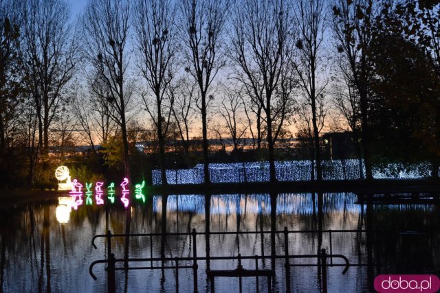 Powraca park iluminacji w Zamku Topacz. Tegoroczna tematyka to Tajemnicze Ogrody [Foto, Wideo, Cennik, Jak dojechać]