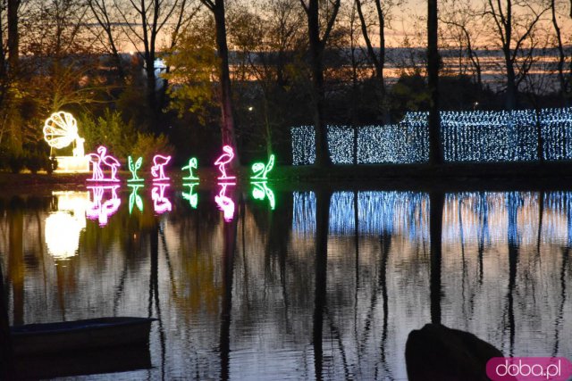 Powraca park iluminacji w Zamku Topacz. Tegoroczna tematyka to Tajemnicze Ogrody [Foto, Wideo, Cennik, Jak dojechać]
