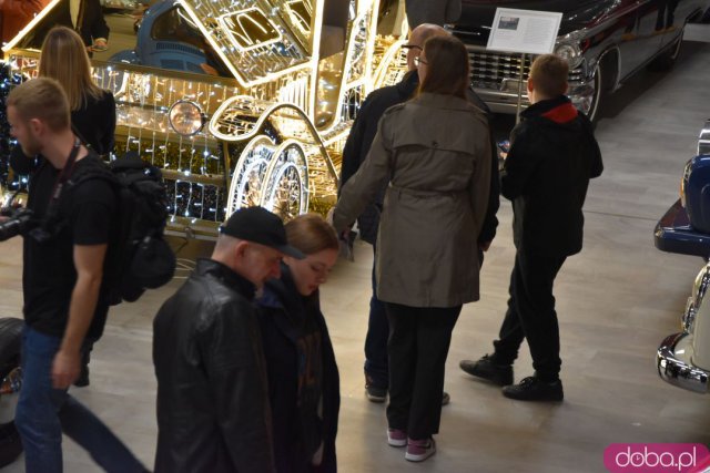 Powraca park iluminacji w Zamku Topacz. Tegoroczna tematyka to Tajemnicze Ogrody [Foto, Wideo, Cennik, Jak dojechać]
