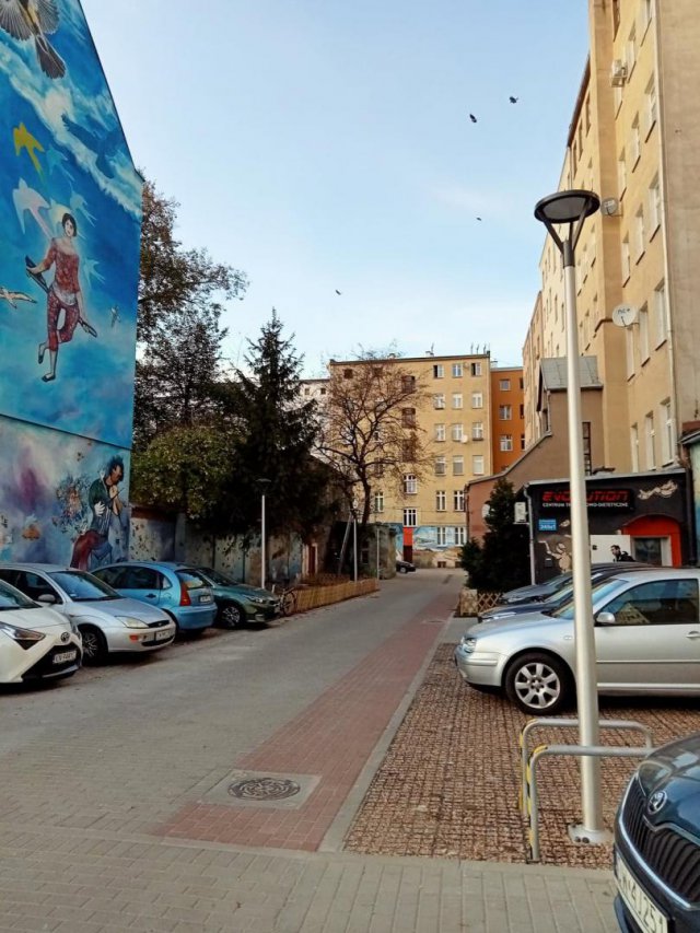 Kolorowe Podwórka na Nadodrzu jeszcze piękniejsze [Foto]