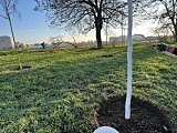 W pobliżu pętli tramwajowej Karłowice wyrosną nowe drzewa [Foto]